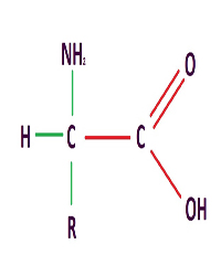 an&aacute;lisis de suelo el runar